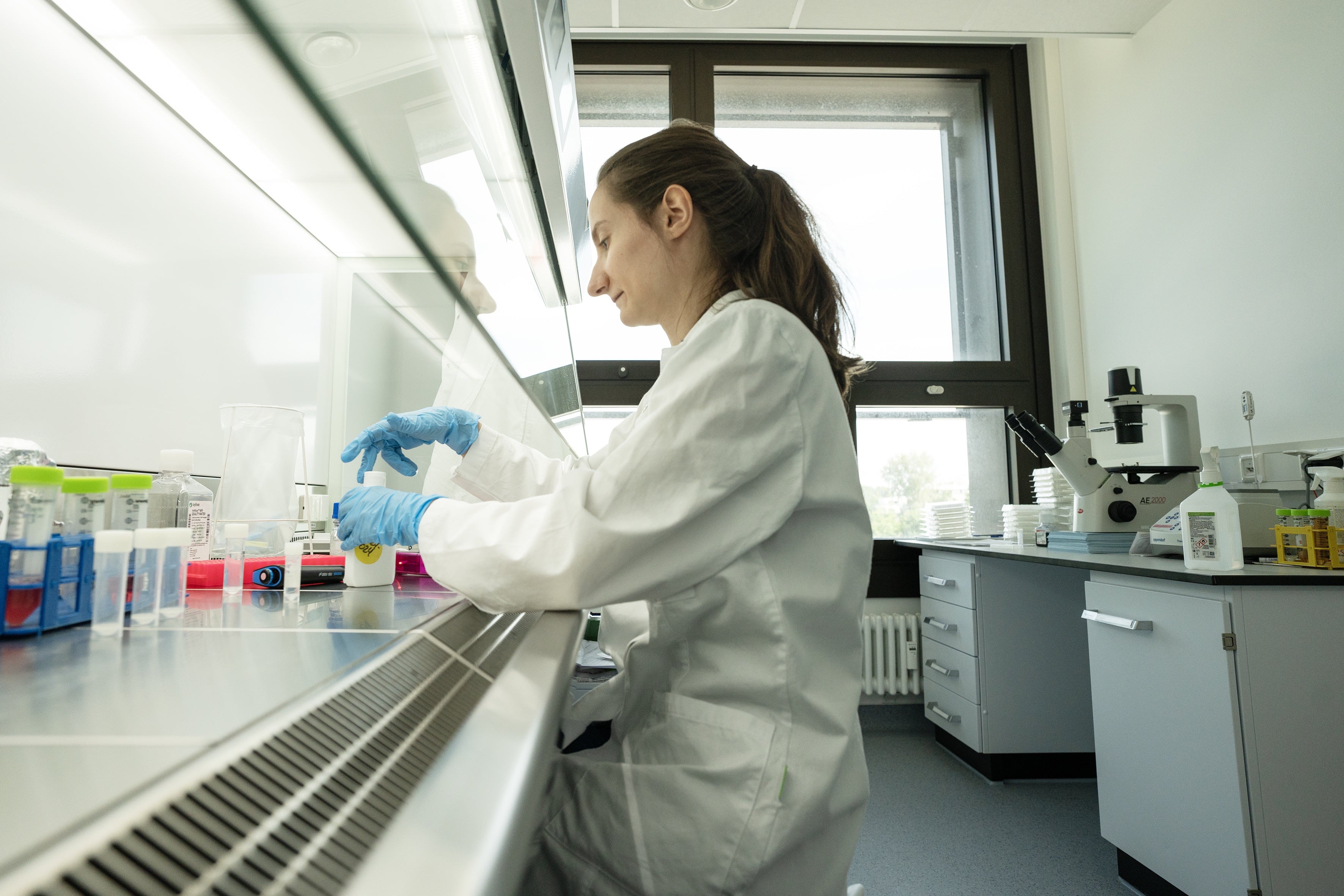 Training - Mikrobiologie